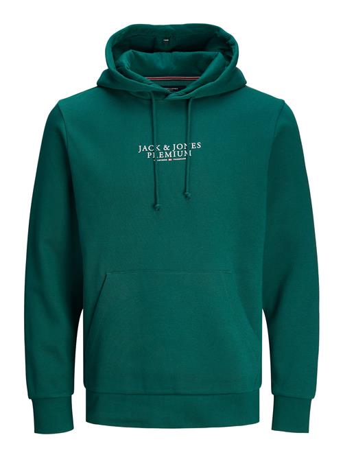 Se JACK & JONES Sweatshirt 'ARCHIE'  mørkegrøn / brandrød / uldhvid ved About You