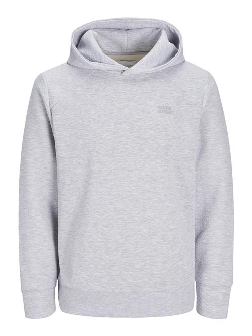 JACK & JONES Sweatshirt 'JJESTAPLE'  grå-meleret