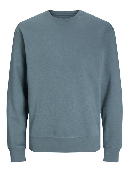 JACK & JONES Sweatshirt 'JJEStar'  røgblå