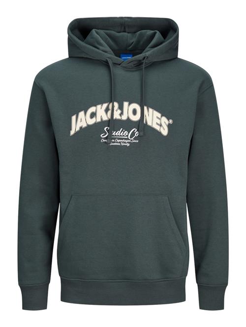 Se JACK & JONES Sweatshirt 'JORBRONX'  gran / uldhvid ved About You