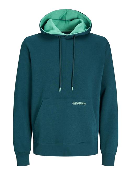 JACK & JONES Sweatshirt  grøn / mint