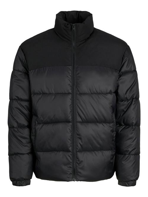 JACK & JONES Vinterjakke 'JJMoon'  sort