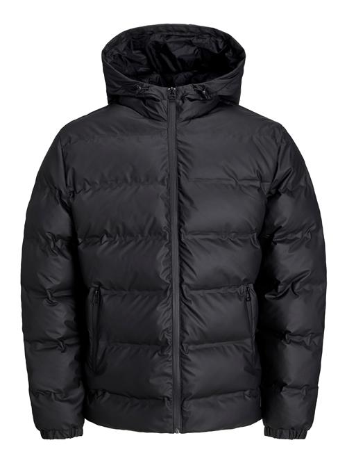 JACK & JONES Vinterjakke  sort