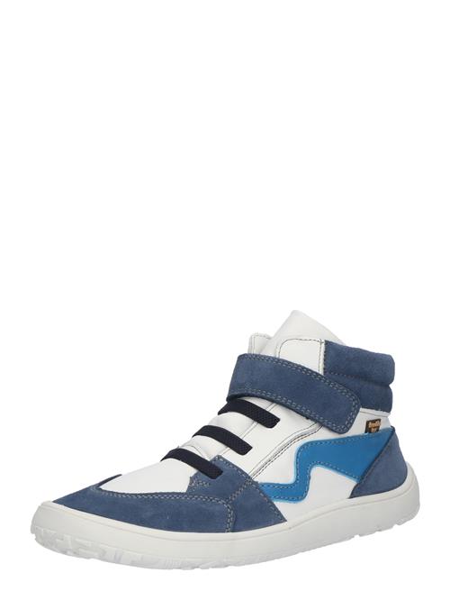 Froddo Sneakers  safir / azur / hvid