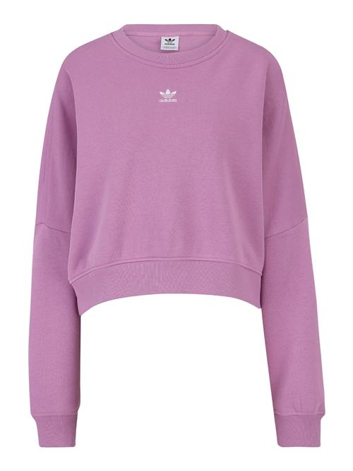 Se ADIDAS ORIGINALS Sweatshirt 'Essentials'  orkidee / hvid ved About You