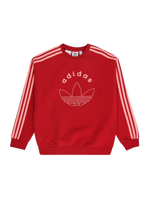 ADIDAS ORIGINALS Sweatshirt  lyserød / rød