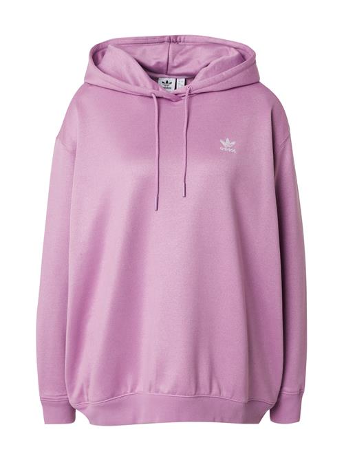 Se ADIDAS ORIGINALS Sweatshirt 'TREFOIL'  blomme / hvid ved About You