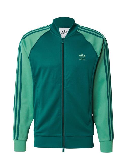 ADIDAS ORIGINALS Sportsweatshirt 'Adicolor Classics Sst'  lysegrøn / mørkegrøn