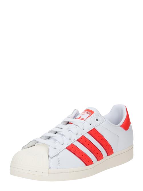 ADIDAS ORIGINALS Sneaker low 'SUPERSTAR'  blodrød / knaldrød / hvid