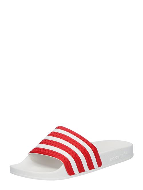 Se ADIDAS ORIGINALS Pantoletter 'Adilette'  rød / hvid ved About You