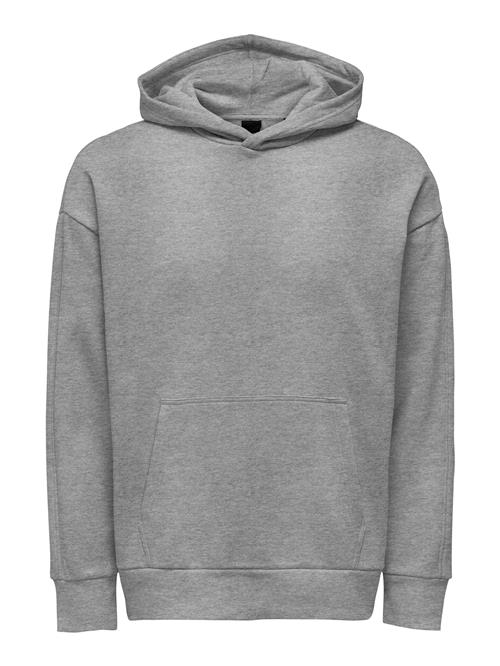 Only & Sons Sweatshirt 'Dan'  grå-meleret