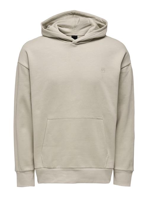 Only & Sons Sweatshirt 'Dan'  grå