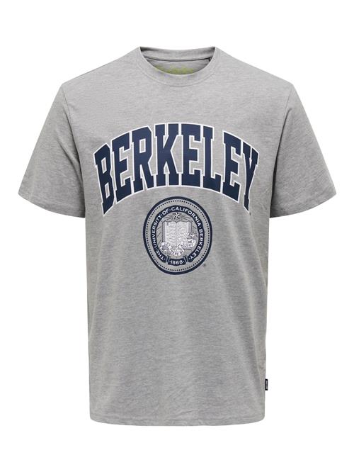 Only & Sons Bluser & t-shirts 'Berkeley'  marin / grå / hvid