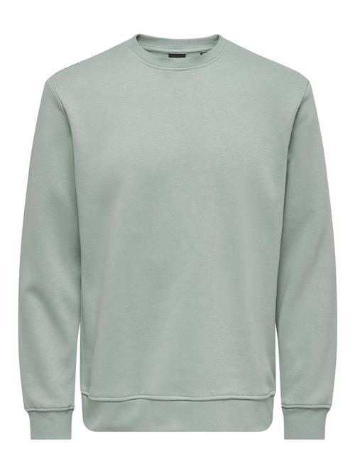 Se Only & Sons Sweatshirt 'ONSConnor'  pastelgrøn ved About You