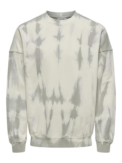 Only & Sons Sweatshirt 'Anders'  røggrå / stone