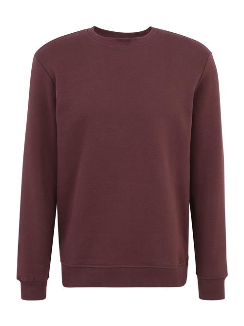 Se Only & Sons Sweatshirt 'ONSCONNOR'  brun ved About You