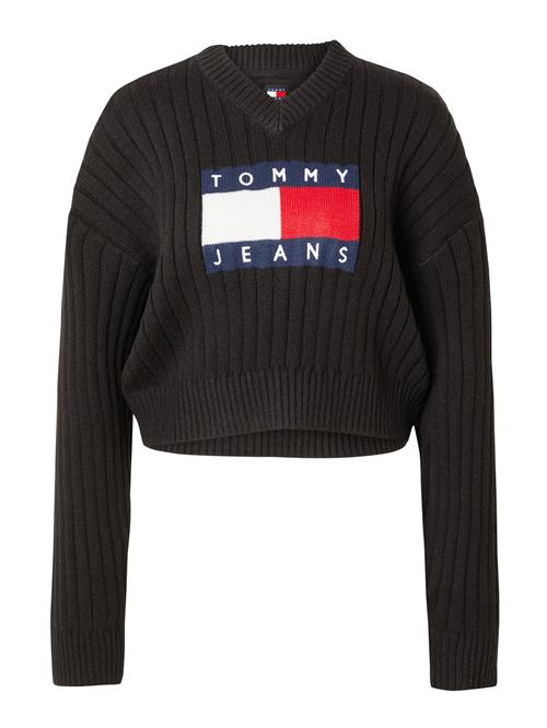 Tommy Jeans Pullover  navy / rød / sort / hvid