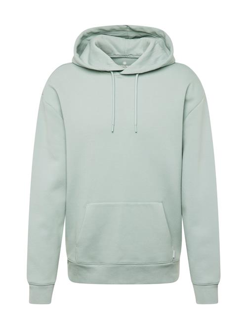 HOLLISTER Sweatshirt  pastelblå