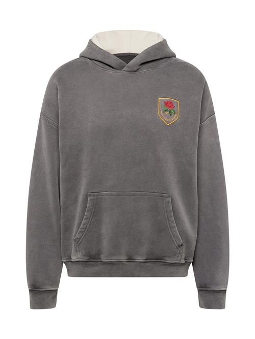 Se Abercrombie & Fitch Sweatshirt  curry / grå / grøn / rød ved About You