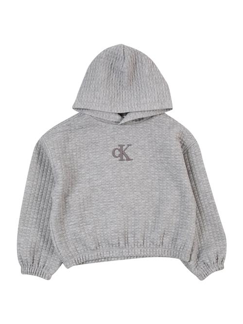 Calvin Klein Jeans Sweatshirt  grå