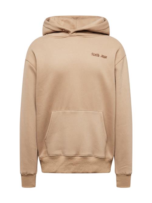 Sixth June Sweatshirt 'FEAR'  mørkebeige / brun