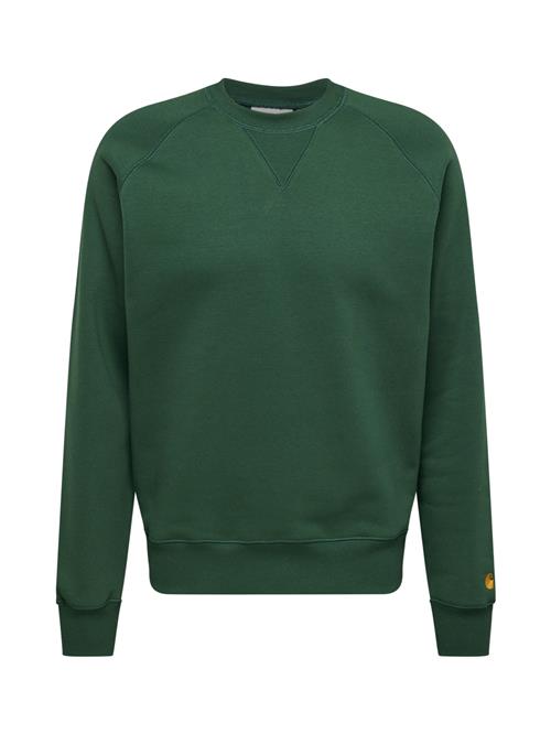 Carhartt WIP Sweatshirt 'Chase'  grøn