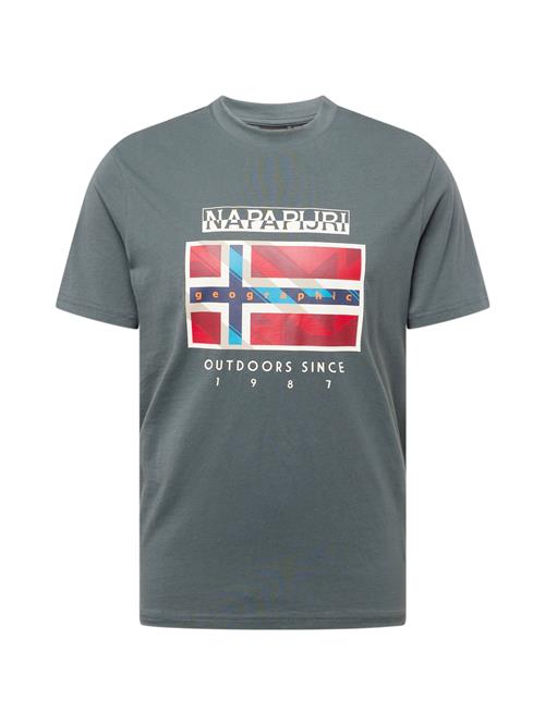 NAPAPIJRI Bluser & t-shirts 'DOREES'  mørkeblå / grøn / rød / hvid