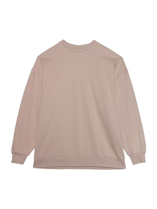 4F Sportsweatshirt  beige / pink