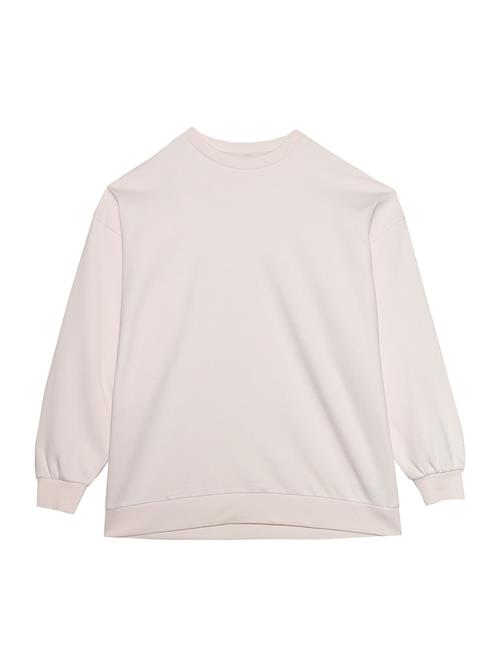 4F Sportsweatshirt  creme / brun