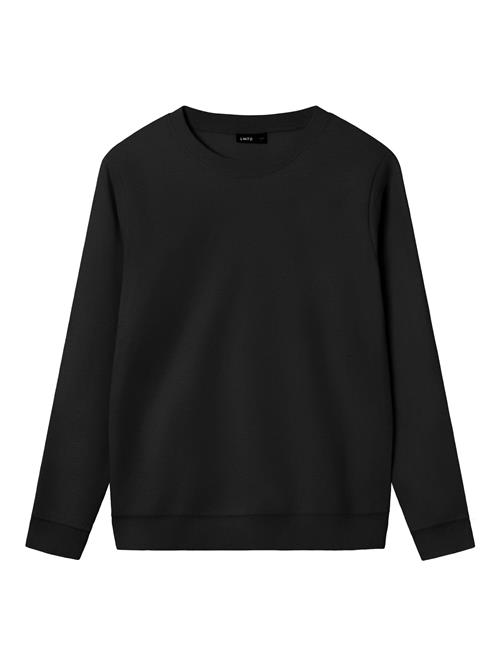 NAME IT Sweatshirt 'NLNNizu'  sort