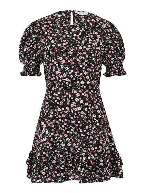 Dorothy Perkins Petite Kjole 'Ditsy'  antracit / jade / pink / gammelrosa / hvid