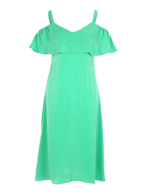 Dorothy Perkins Petite Sommerkjole  jade