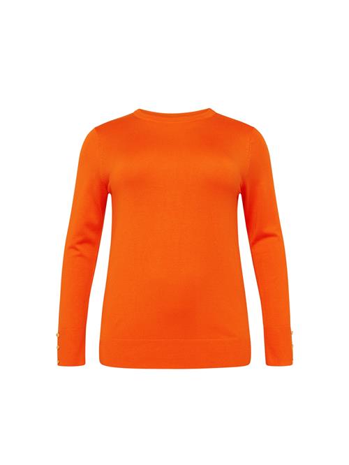 Dorothy Perkins Curve Pullover  orange