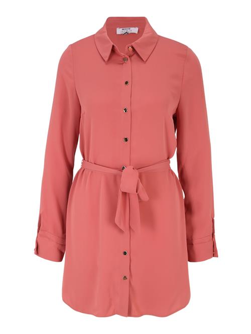 Dorothy Perkins Petite Blusekjole  gammelrosa