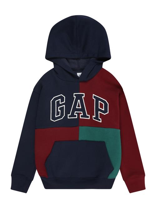 GAP Sweatshirt  navy / grøn / mørkerød