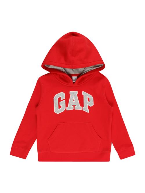 GAP Sweatshirt  grå / rød / hvid