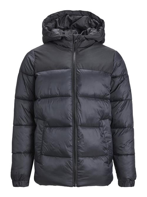 Jack & Jones Junior Vinterjakke 'Toby'  antracit