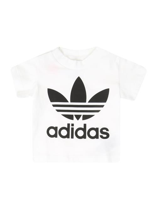 ADIDAS ORIGINALS Shirts 'Trefoil'  sort / hvid