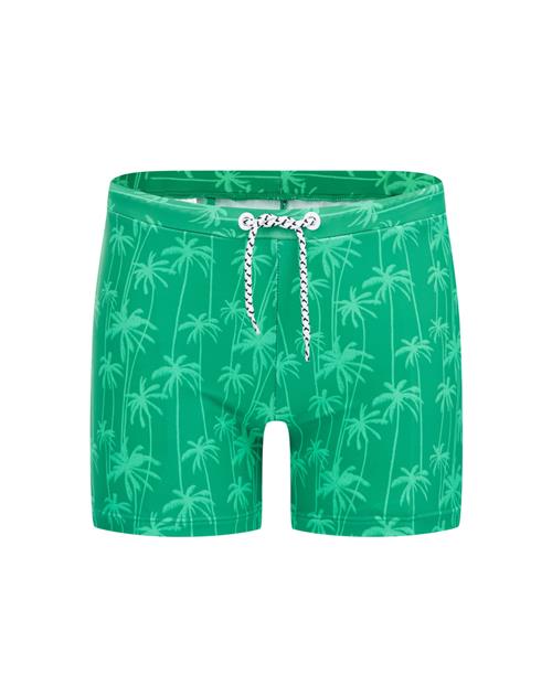 WE Fashion Badeshorts  grøn / hvid