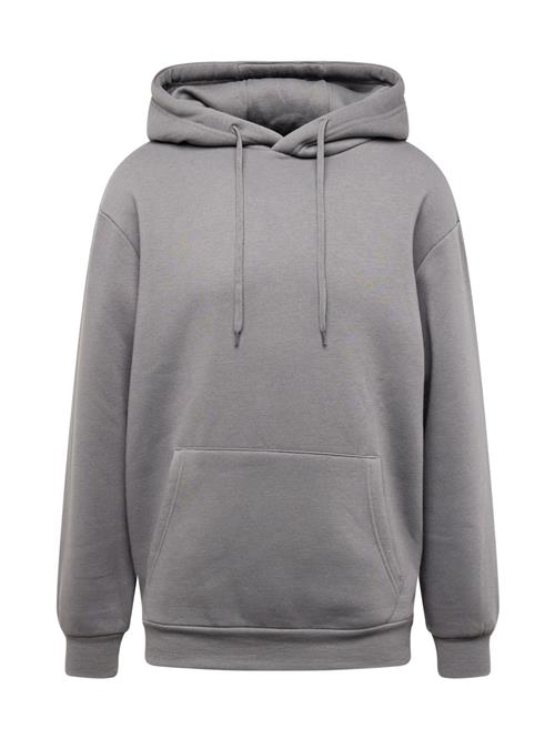 ABOUT YOU Sweatshirt 'Dian Hoodie'  antracit