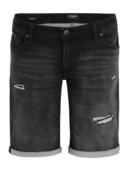 Jack & Jones Plus Jeans  black denim