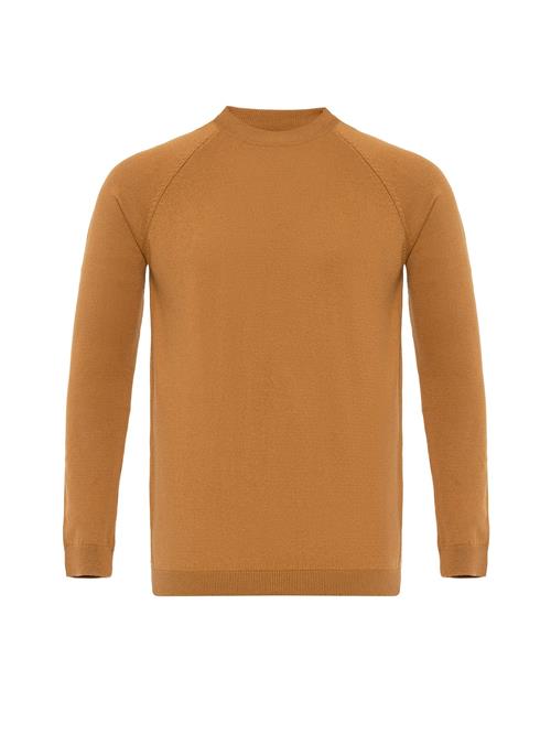 Antioch Pullover  camel