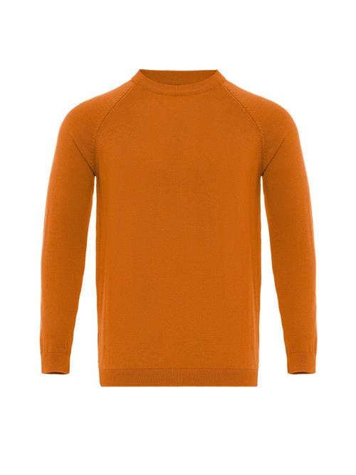 Antioch Pullover  orange