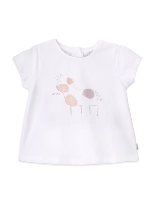 KNOT Bluser & t-shirts 'Moo'  abrikos / fersken / rosé / hvid