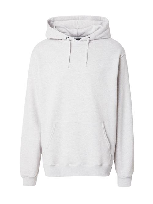 Iriedaily Sweatshirt  grå-meleret