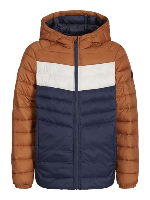 Jack & Jones Junior Vinterjakke 'JJESPRINT'  marin / cognac / hvid