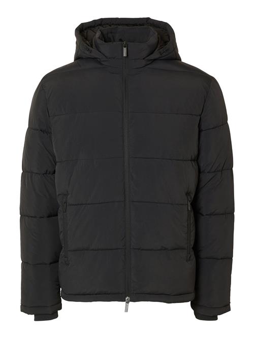 SELECTED HOMME Vinterjakke 'SLHCooper'  sort