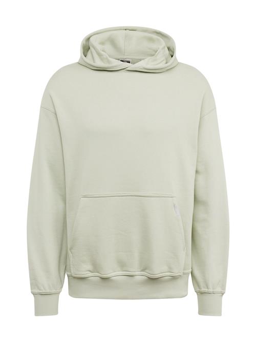 JACK & JONES Sweatshirt 'COLLECTIVE'  pastelgrøn