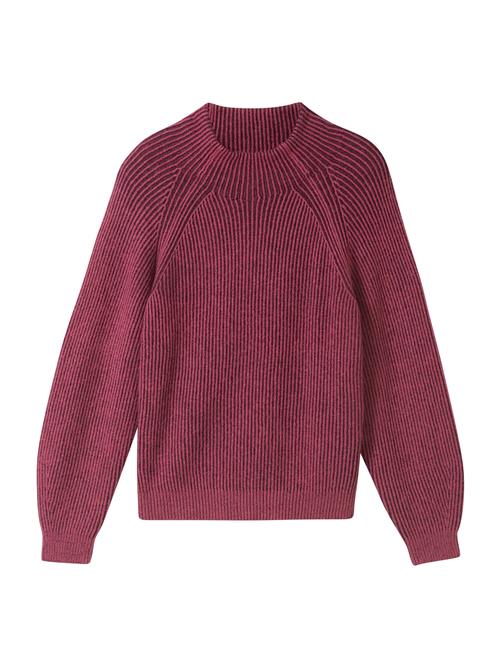 TOM TAILOR Pullover  aubergine / bær