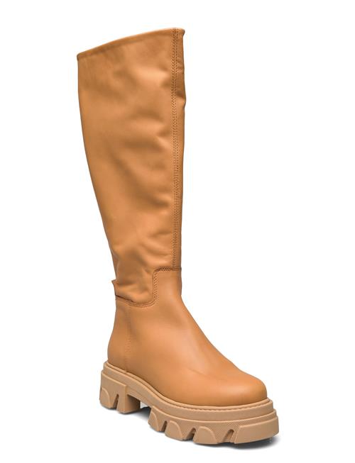 Se Steve Madden Mana Boot Steve Madden Brown ved Booztlet